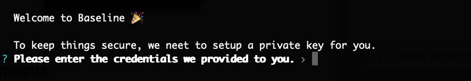 Paste your credentials.