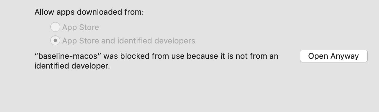 Confirm to open the Baseline CLI.