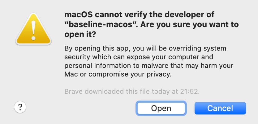 Final confirmation before running the Baseline CLI.